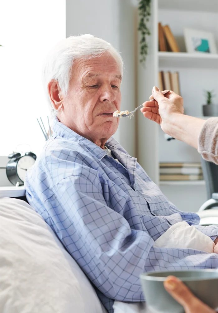 What does respite care include